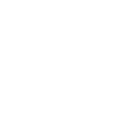 We accept Visa