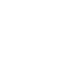 We accept PayPal